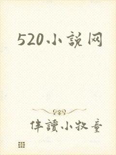 520小说网