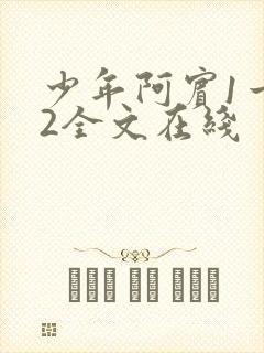 少年阿宾1一72全文在线