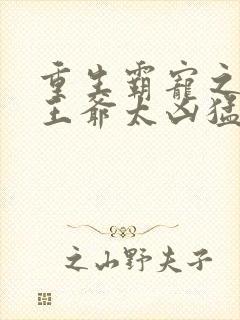 重生霸宠之摄政王爷太凶猛