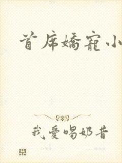 首席娇宠小情人