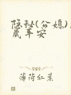 隐秘(公媳)岁岁平安封面