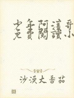 少年阿滨哥全文免费阅读小说封面