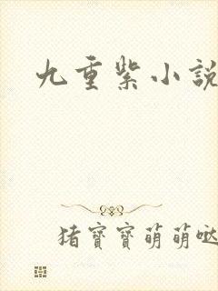九重紫小说封面