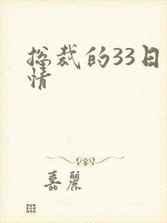 总裁的33日索情封面