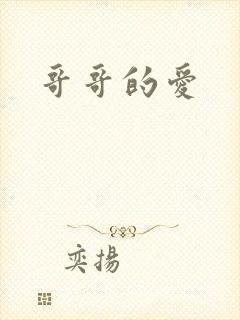 哥哥的爱