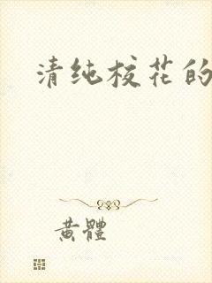 清纯校花的被封面