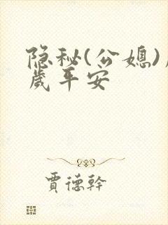 隐秘(公媳)岁岁平安封面
