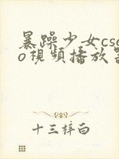 暴躁少女csgo视频播放器推荐