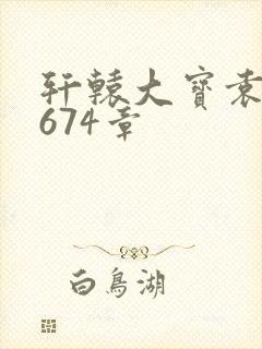 轩辕大宝袁雪妃674章