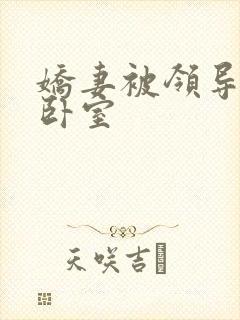 娇妻被领导抱进卧室