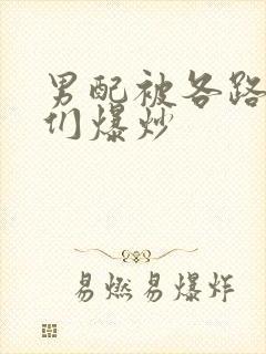 男配被各路大佬们爆炒