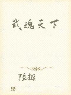 武魂天下