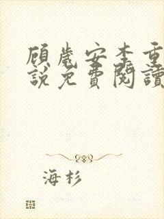 顾岁安李重宴小说免费阅读封面