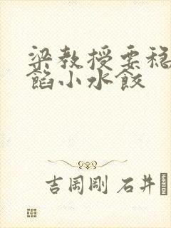 梁教授要稳住肉馅小水饺封面