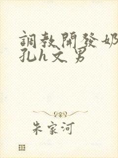 调教开发奶头乳孔h文男