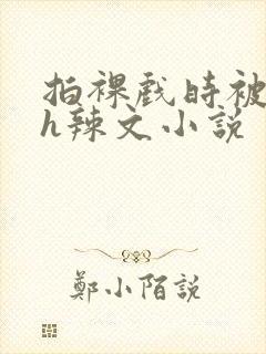 拍裸戏时被c了h辣文小说封面