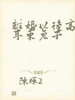 离婚以后高干 耳东兔子封面