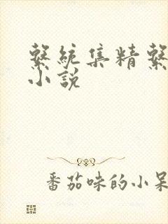 系统集精系统 小说