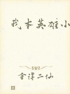 我本英雄小说