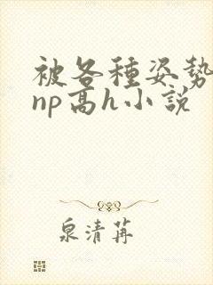 被各种姿势玩弄np高h小说