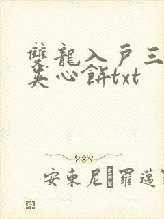 双龙入户三人行夹心饼txt