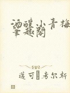 酒酿小青梅po笔趣阁