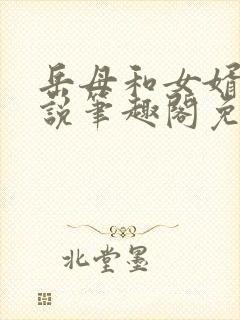 岳母和女婿的小说笔趣阁免费阅读全文无弹窗