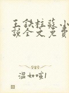 王铁柱苏小汐小说全文免费阅读最新章节