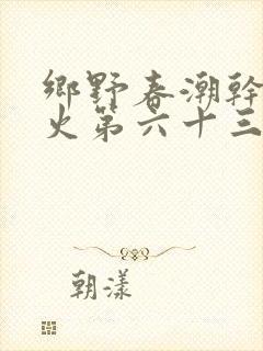 乡野春潮干柴烈火第六十三章