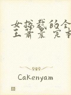 女总裁的全能兵王萧晨 完本