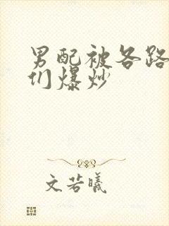 男配被各路大佬们爆炒封面