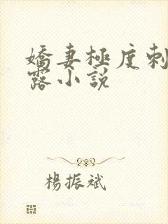 娇妻极度刺激暴露小说