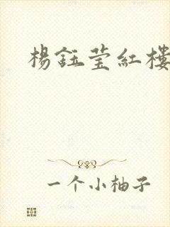 杨钰莹红楼