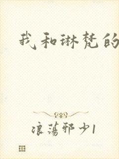 我和琳梵的故事