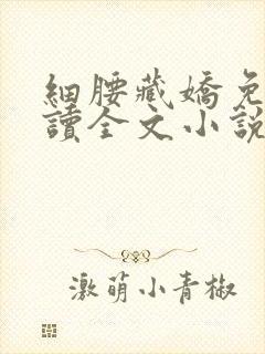 细腰藏娇免费阅读全文小说苏珞浅