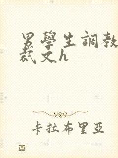 男学生调教男总裁文h