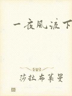 一夜风流下载