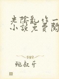 光阴乱作一团的小说免费阅读