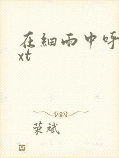 在细雨中呼喊txt