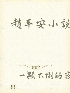 赵平安小说主角