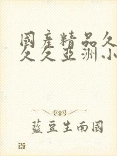 国产精品久久久久久亚洲小说