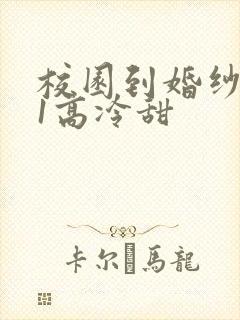 校园到婚纱1V1高冷甜