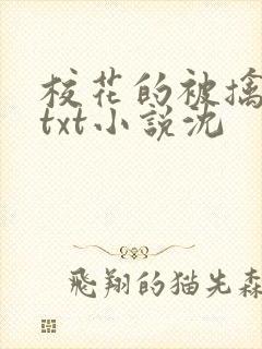 校花的被擒日常txt小说沈