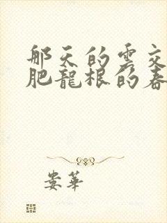 那天的云交雨合肥龙根的春天封面