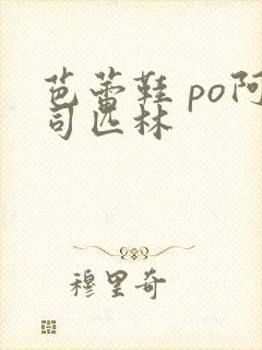 芭蕾鞋 po阿司匹林