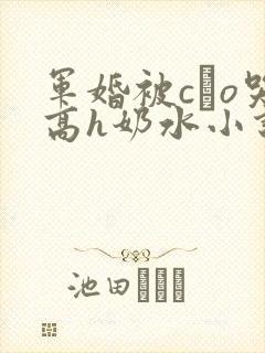 军婚被cαo哭高h奶水小说封面