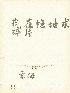 我在绝地求生捡碎片封面