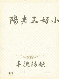 阳光正好小说封面