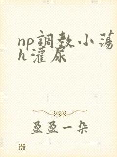 np调教小荡货h灌尿封面