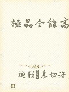 极品全能高手